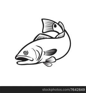 Illustration of a red drum, redfish, channel bass, puppy drum or spottail bass, a game fish found in the Atlantic Ocean from Florida to northern Mexico, jumping down in black and white retro style.. Spottail Bass Red Drum Redfish Channel Bass or Puppy Drum Jumping Down Black and White Retro