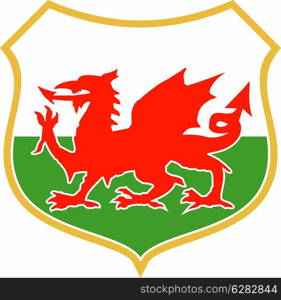 illustration of a red welsh wales dragon with shield in background. red welsh dragon