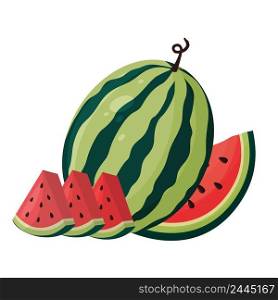 Illustration of a ripe juicy watermelon. Slices of watermelon. Vector.