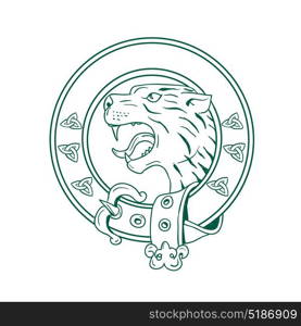 Illustration of a Scottish Wildcat or Highlands tiger Head viewed from side set inside Celtic Belt done in hand drawn sketch drawing.. Scottish Wildcat Head Celtic Belt Drawing