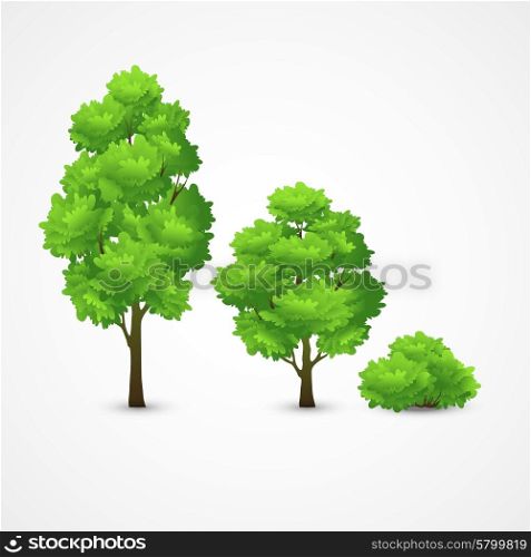 Illustration of a set of different trees. Vector illustration. Illustration of a set of different trees. Vector illustration EPS 10