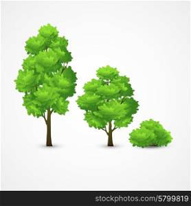 Illustration of a set of different trees. Vector illustration. Illustration of a set of different trees. Vector illustration EPS 10