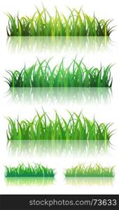 Illustration of a set of thin leaves and glossy green grass background with reflection on the ground, for summer or spring season. Spring Or Summer Green Grass Set