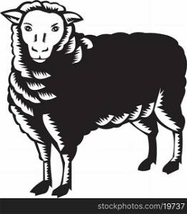 Illustration of a sheep lamb viewed from side set on isolated white background done in retro woodcut style. . Sheep Side View Woodcut