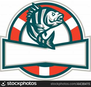 Illustration of a sheepshead (Archosargus probatocephalus) a marine fish jumping up set inside circle with lifesaver buoy&#xA; in the background done in retro style.