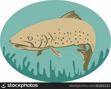 illustration of a Spotted or speckled Trout swimming done in retro style. Spotted or speckled Trout swimming