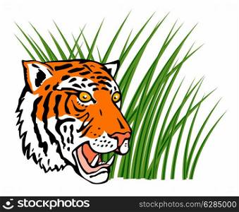Illustration of a tiger head with long grass in the background done in retro style. . Tiger Head