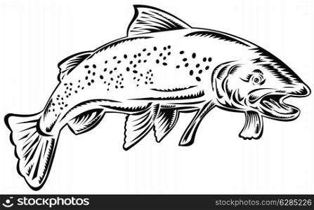 illustration of a trout fish jumping done in retro style on isolated background black and white. trout fish jumping black and white