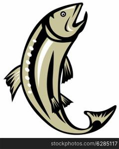 illustration of a trout fish jumping done in retro style on isolated background. trout fish jumping