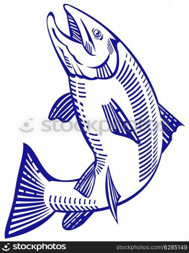 illustration of a trout fish jumping done in retro style on isolated background. trout fish jumping
