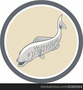 Illustration of a trout fish swimming set inside circle on isolated background done in cartoon style.. Trout Swimming Cartoon Circle