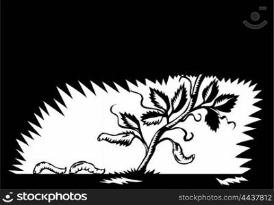 Illustration of a vine plant leaves morphing into maggots set on isolated background done in retro woodcut style. . Vine Leaves Morphing Maggots Woodcut
