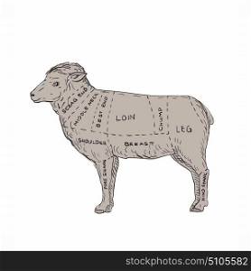 Illustration of a Vintage Lamb Meat Cut Map done in hand sketch Drawing style.. Vintage Lamb Meat Cut Map Drawing