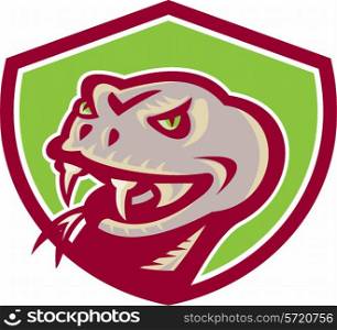 Illustration of a viper snake serpent head showing fangs set inside shield crest on isolated background done in retro style. . Viper Snake Serpent Head Shield Retro
