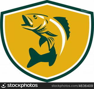 Illustration of a Walleye (Sander vitreus, formerly Stizostedion vitreum), a freshwater perciform fish jumping up viewed from the side set inside shield crest on isolated background done in retro style.