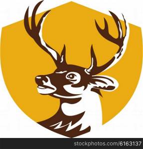Illustration of a whitetail deer buck stag head looking to the side set inside shield crest done in retro style. . Whitetail Deer Buck Head Crest Retro