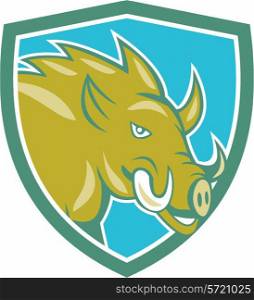 Illustration of a wild pig boar razorback head ready to charge set inside shield crest on isolated background done in cartoon style. . Razorback Head Charge Shield Cartoon