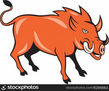 Illustration of a wild pig boar razorback head ready to charge set on isolated white background done in cartoon style. . Razorback Head Charge Cartoon