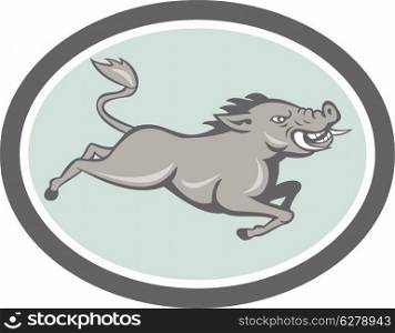 Illustration of a wild pig boar razorback jumping on isolated background done in cartoon style set inside oval.. Wild Boar Razorback Jumping Side Cartoon
