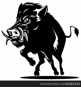 Illustration of a wild pig boar razorback on isolated background done in retro style.. Wild Pig Boar