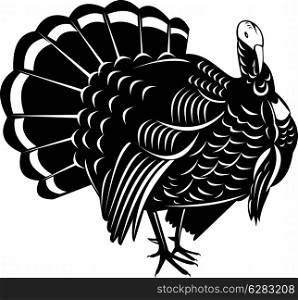 Illustration of a wild turkey done in retro style on isolated white background