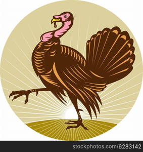 illustration of a Wild turkey walking side view done in retro woodcut style with sunburst in background. Wild turkey walking side view