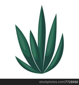 Illustration of agave and tequila. Decorative image of tropical foliage and plant.. Illustration of agave and tequila. Decorative image of tropical plant.