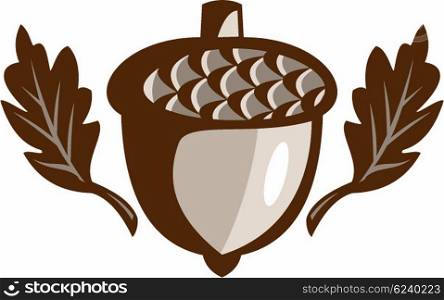 Illustration of an acorn and oak leaf set on isolated white background done in retro style. . Acorn Oak Leaf Isolated Retro