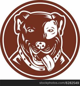 illustration of an American Pit bull Terrier set inside a circle. American Pit bull Terrier