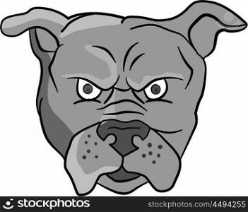 Illustration of an angry bulldog head facing front set on isolated white background done in cartoon style. . Angry Bulldog Head Cartoon
