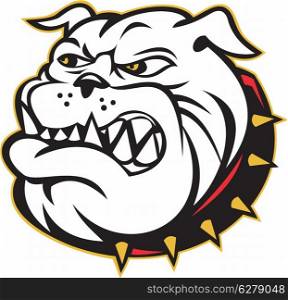illustration of an Angry bulldog mongrel dog head mascot on isolated white background done in cartoon style. Bulldog mongrel dog head angry