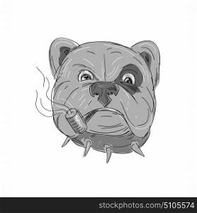 Illustration of an Angry Bulldog with studded collar and spot Smoking Corn Cob Pipe done in hand Drawing and sketch style on isolated background.. Angry Bulldog Smoking Corn Cob Pipe Drawing