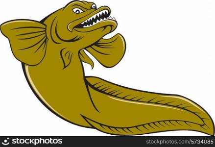 Illustration of an angry eelpout, ray-finned fish family Zoarcidae, viewed from a low angle on isolated white background done in cartoon style.