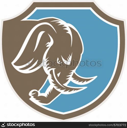 Illustration of an angry elephant head with tusk facing down viewed from the side set inside shield crest on isolated background done in retro style.
