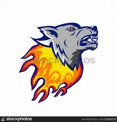 Illustration of an angry flaming Wolf head on fire viewed from side on isolated background done in retro style.. Flaming Wolf Head on Fire Isolated