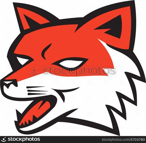 Illustration of an angry fox wild dog wolf head growling set on isolated white background done in retro style. . Red Fox Head Growling Retro