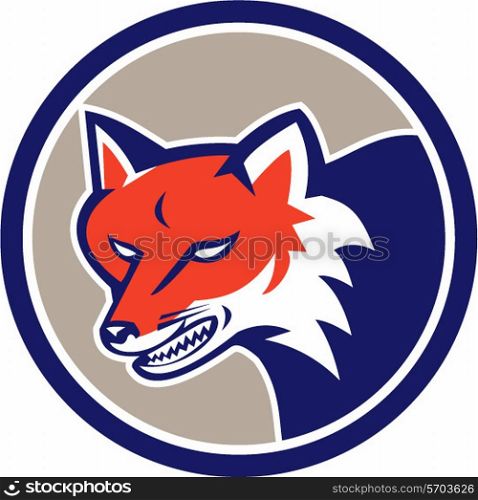 Illustration of an angry fox wild dog wolf head set inside circle on isolated background done in retro style. . Red Fox Head Angry Circle Retro