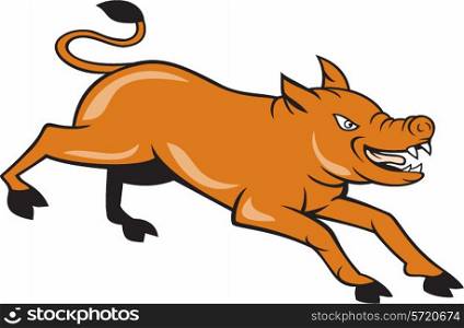 Illustration of an angry wild pig showing teeth jumping running attacking viewed from the side set on isolated white background done in cartoon style.. Angry Pig Jumping Attacking Cartoon