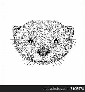 Illustration of an Asian Small-Clawed Otter Head done in hand Drawing sketch style on isolated background.. Asian Small-Clawed Otter Head Drawing
