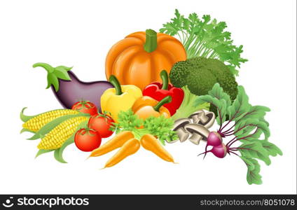 Illustration of an assortment of fresh tasty vegetables