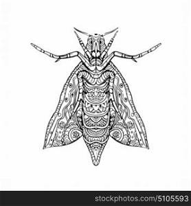 Illustration of an Elephant Hawk Moth done in hand sketch drawing Mandala style.. Elephant Hawk Moth Mandala