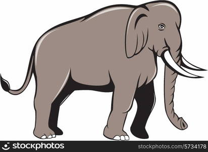 Illustration of an Indian elephant with tusks walking viewed from side on isolated white background done in cartoon style.. Indian Elephant Side View Cartoon