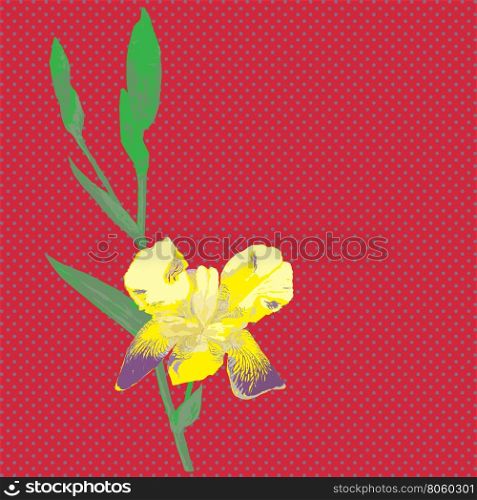 Illustration of an iris flower over a red background