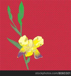Illustration of an iris flower over a red background