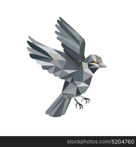 Illustration of an Old World Sparrow flying set on isolated background done in Low Polygon style.. Old World Sparrow Low Polygon