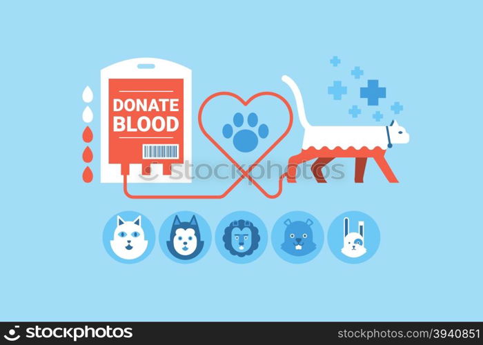 Illustration of animal blood donation flat design concept with icons elements