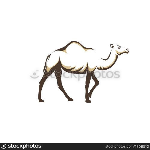 illustration of arabic camel animal on white background vector
