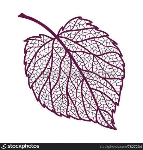 Illustration of autumn linden leaf. Image of foliage with veins.. Illustration of autumn linden leaf.