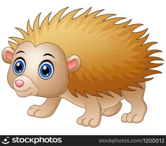 illustration of Baby hedgehog cartoon isolated white background
