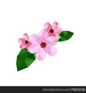 Illustration of beautiful origami cherry blossom isolated on white background